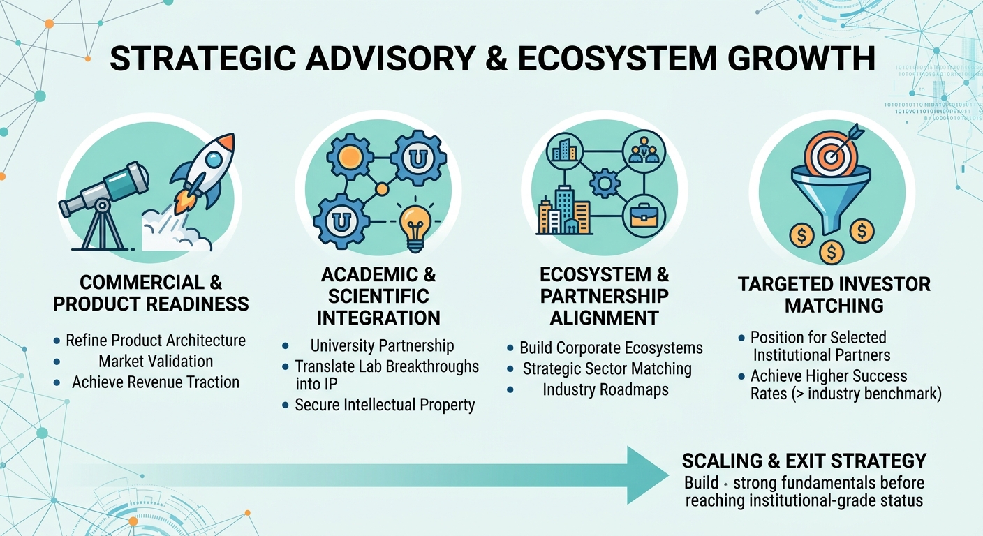 Strategic Advisory Beyond Traditional Venture Capital for Scale-Ups and Research Spin-Outs Paraguay